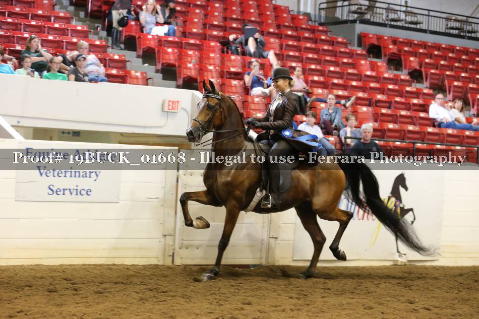 Proof 19BUCK_01668
