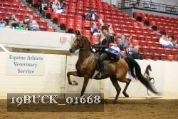 19BUCK_01668 proof