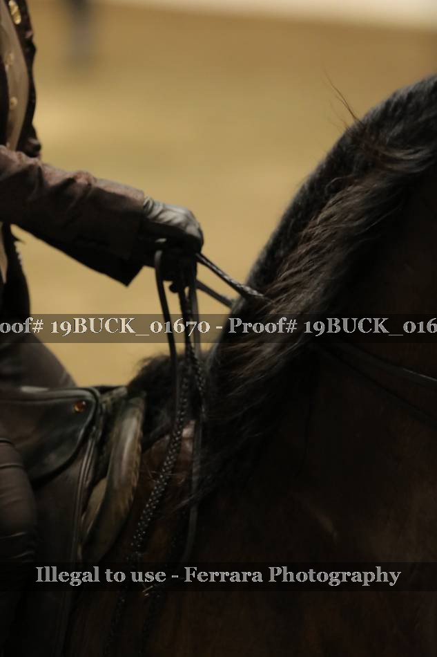 Proof 19BUCK_01670