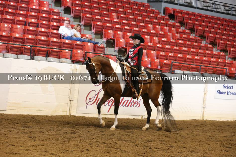 Proof 19BUCK_01671