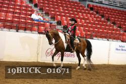 19BUCK_01671 proof