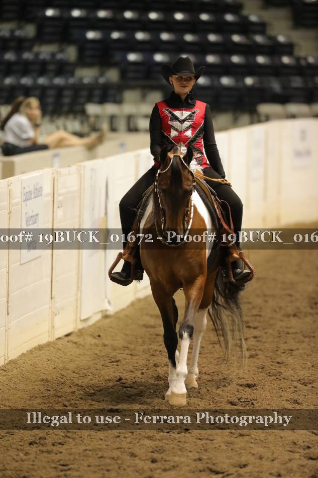 Proof 19BUCK_01672