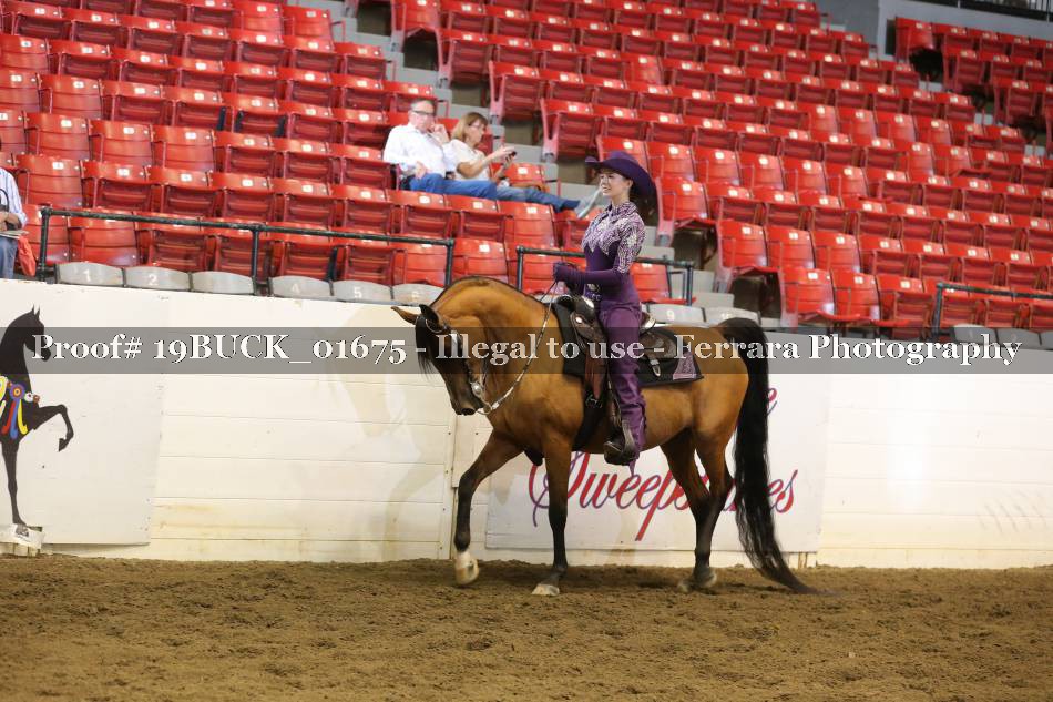 Proof 19BUCK_01675