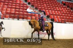 19BUCK_01675 proof