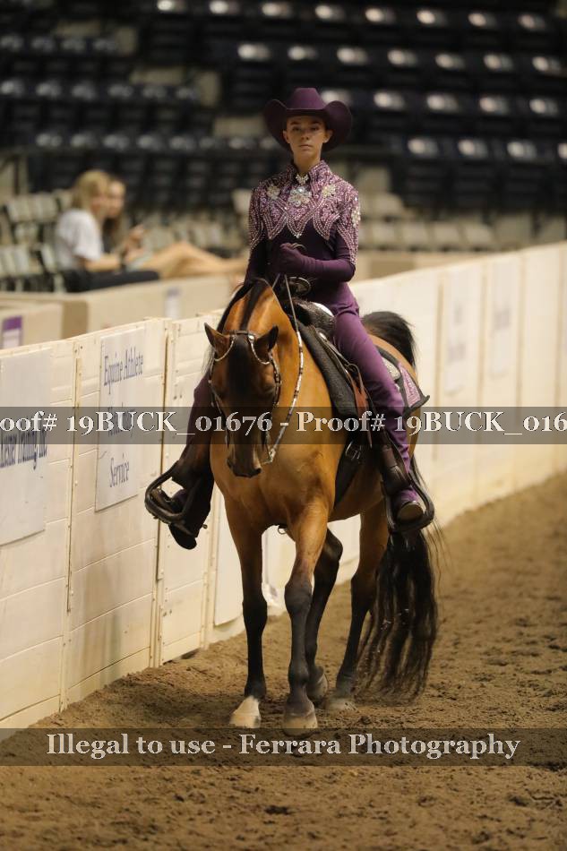 Proof 19BUCK_01676
