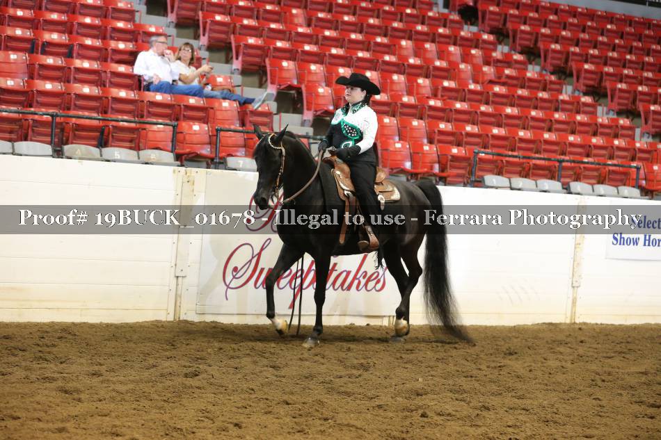 Proof 19BUCK_01678