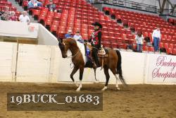 19BUCK_01683 proof