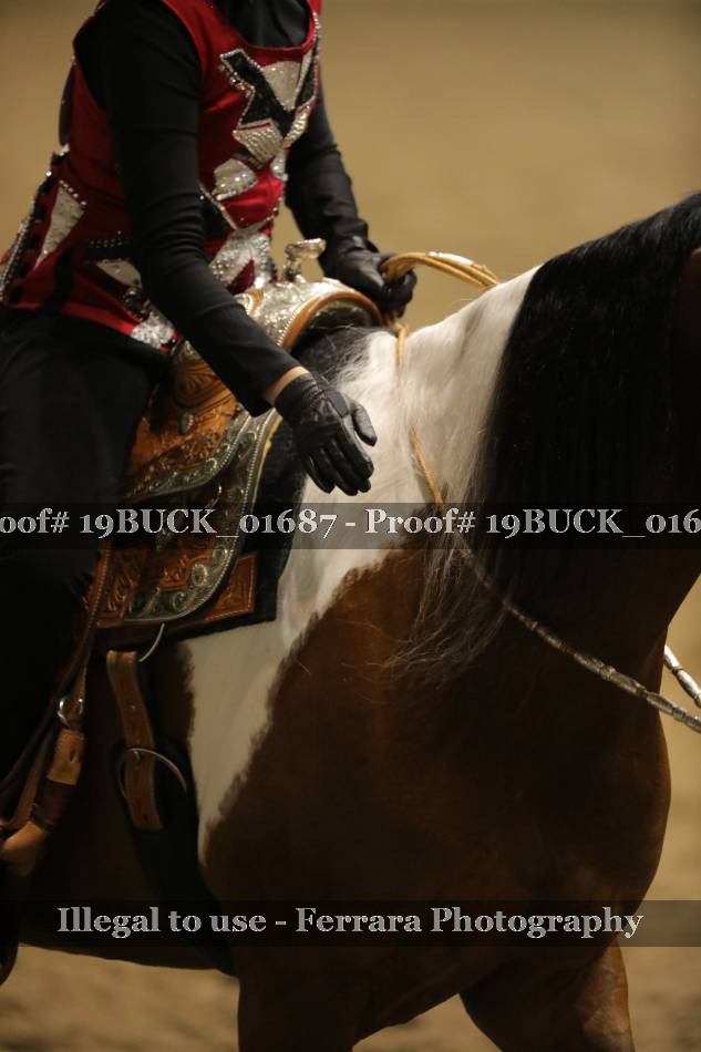 Proof 19BUCK_01687