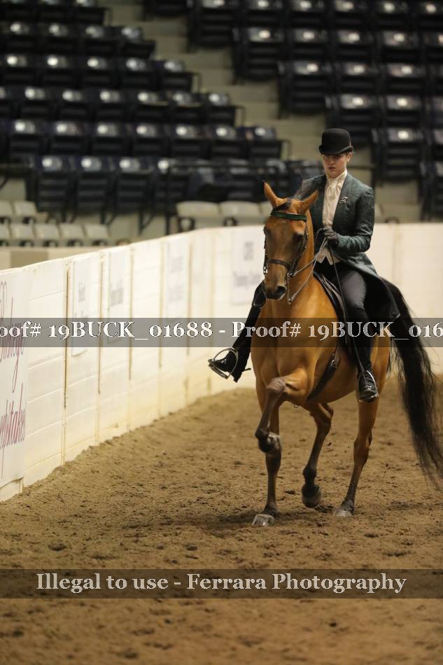 Proof 19BUCK_01688