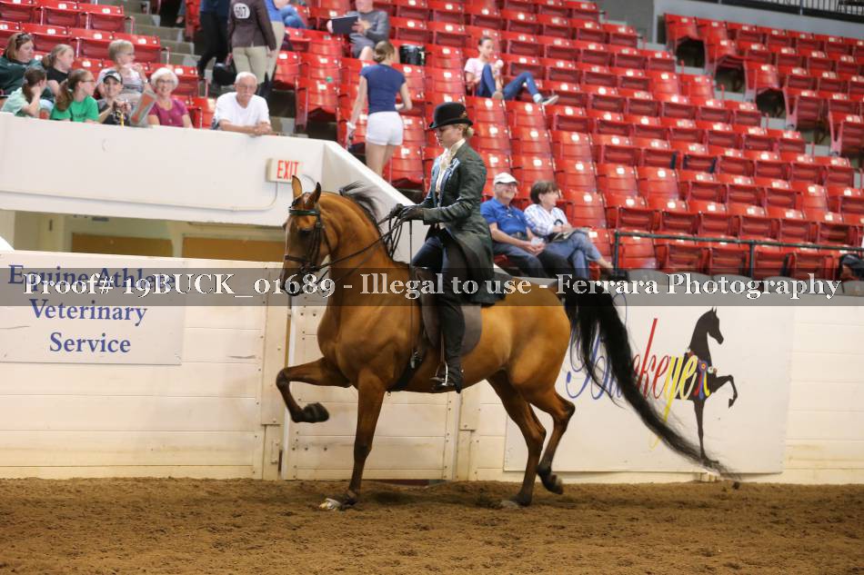 Proof 19BUCK_01689