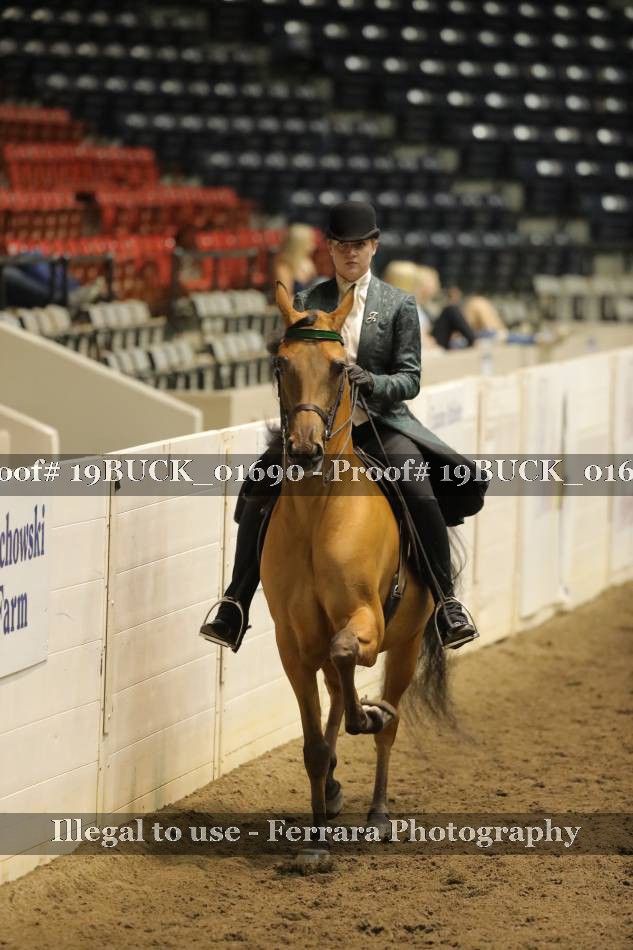 Proof 19BUCK_01690