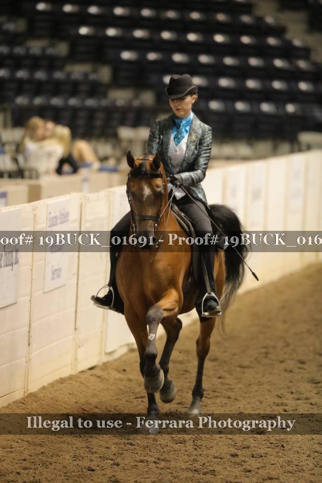 Proof 19BUCK_01691