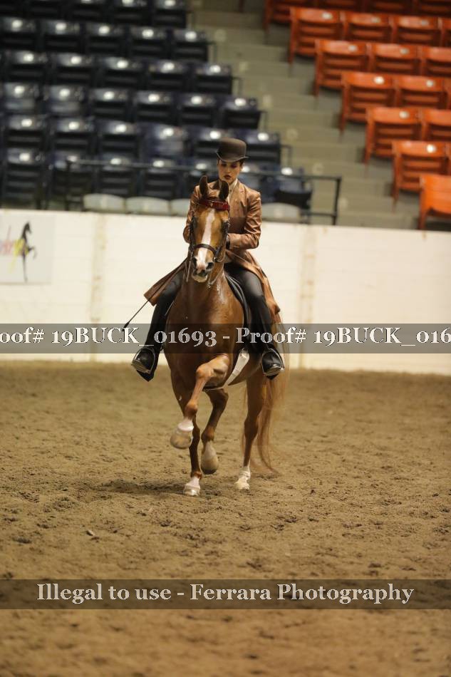 Proof 19BUCK_01693
