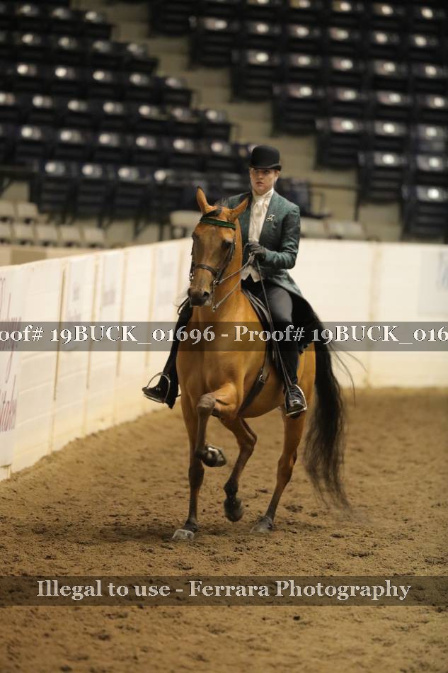 Proof 19BUCK_01696