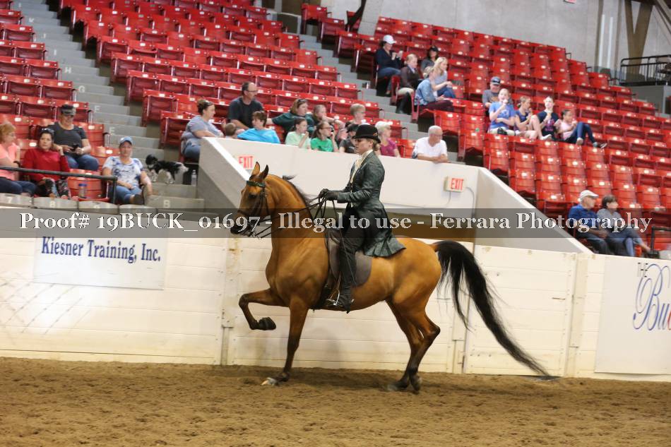 Proof 19BUCK_01697