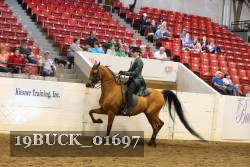 19BUCK_01697 proof