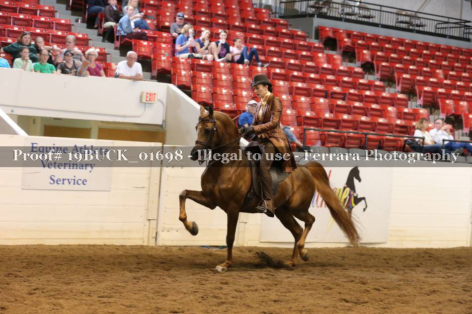 Proof 19BUCK_01698