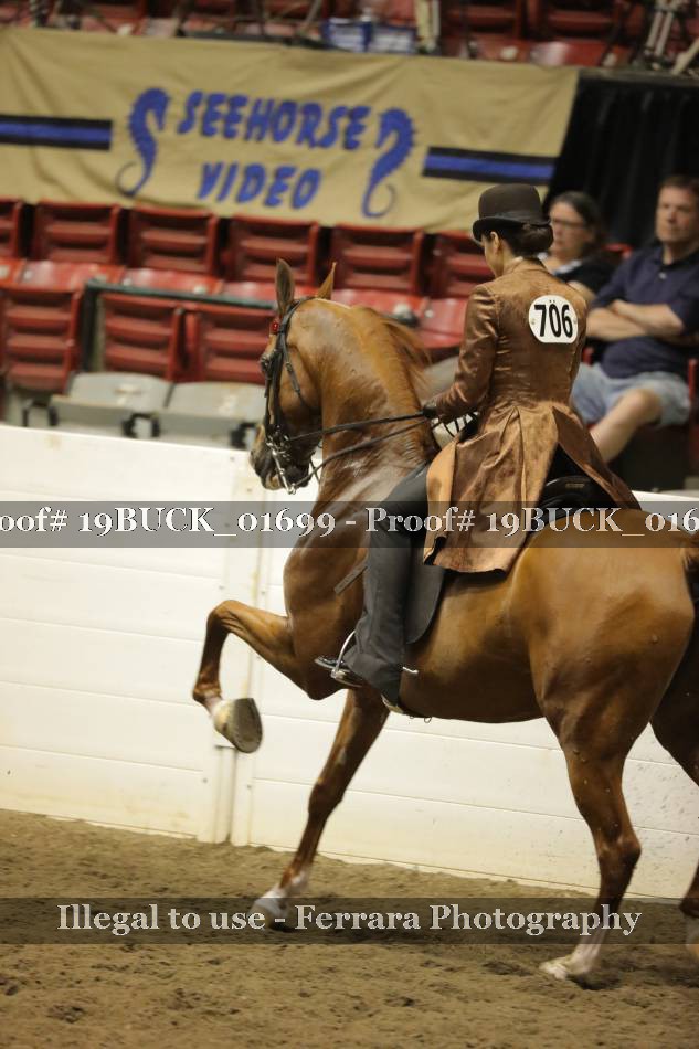 Proof 19BUCK_01699