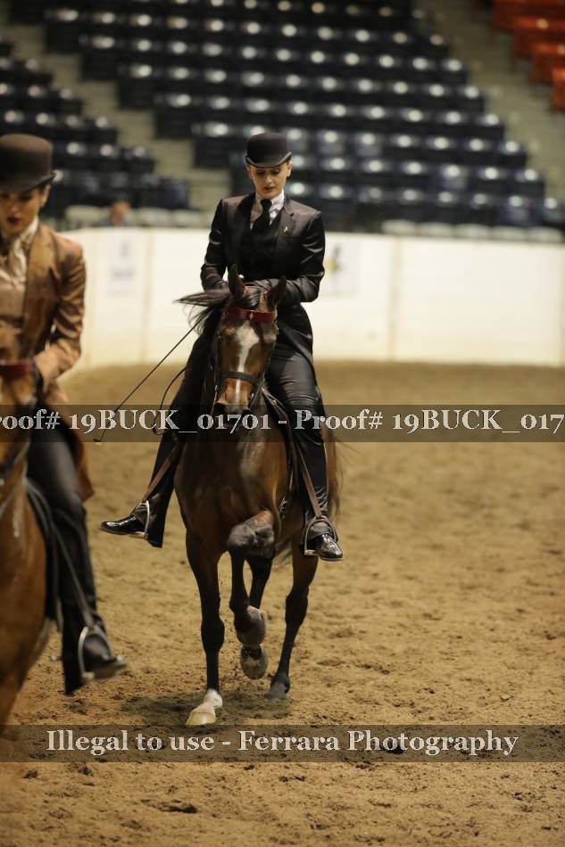 Proof 19BUCK_01701