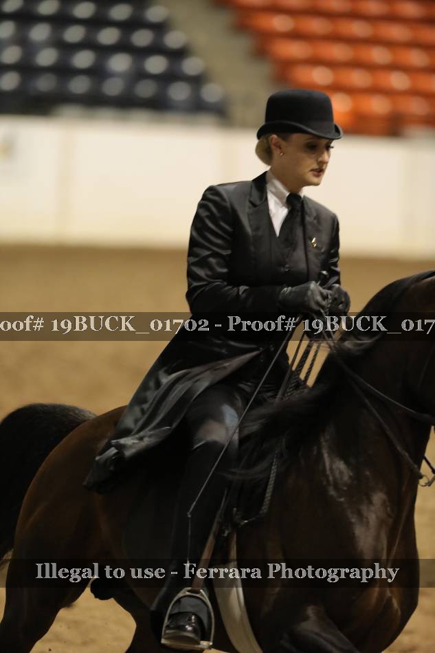 Proof 19BUCK_01702