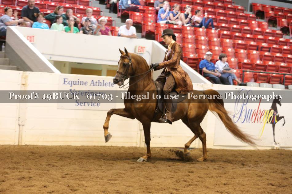 Proof 19BUCK_01703