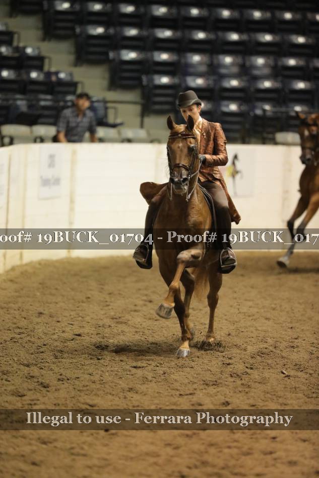 Proof 19BUCK_01704