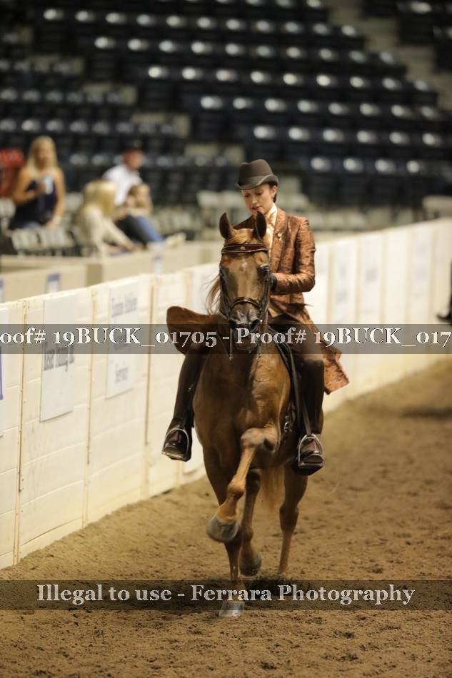 Proof 19BUCK_01705