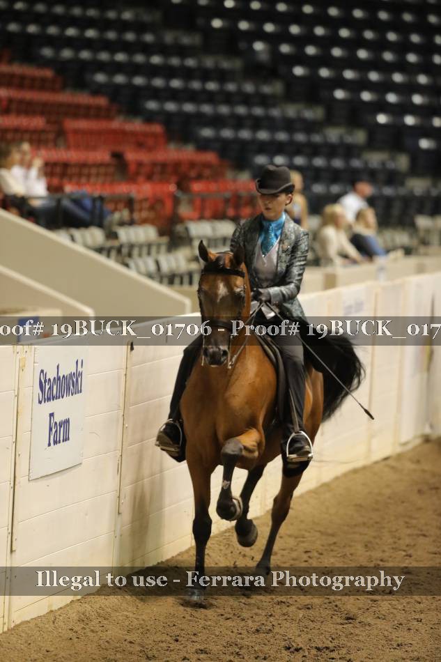 Proof 19BUCK_01706