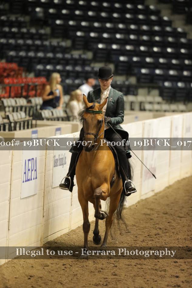 Proof 19BUCK_01707