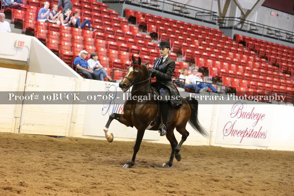 Proof 19BUCK_01708