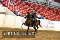 19BUCK_01708 proof