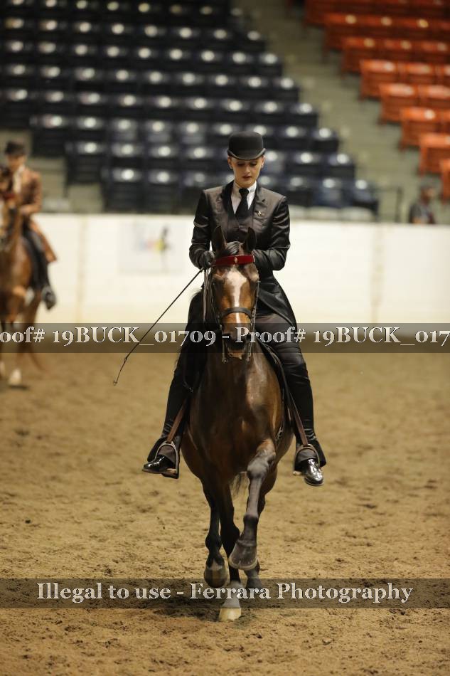 Proof 19BUCK_01709