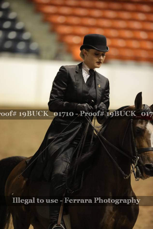 Proof 19BUCK_01710