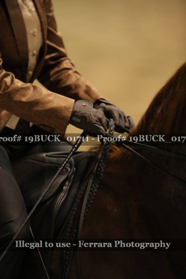 Proof 19BUCK_01711