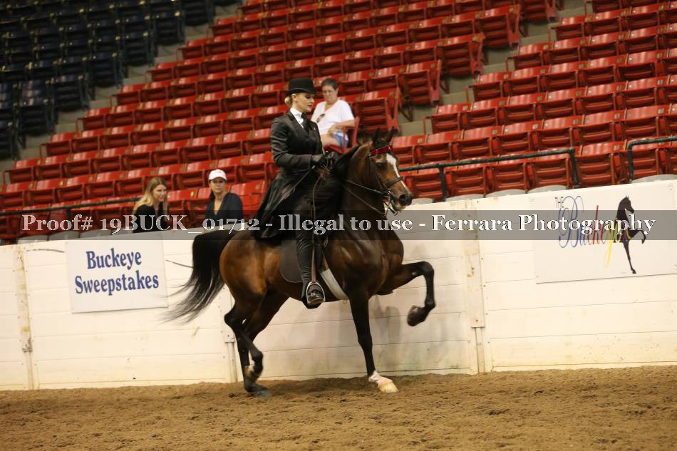 Proof 19BUCK_01712