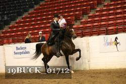19BUCK_01712 proof
