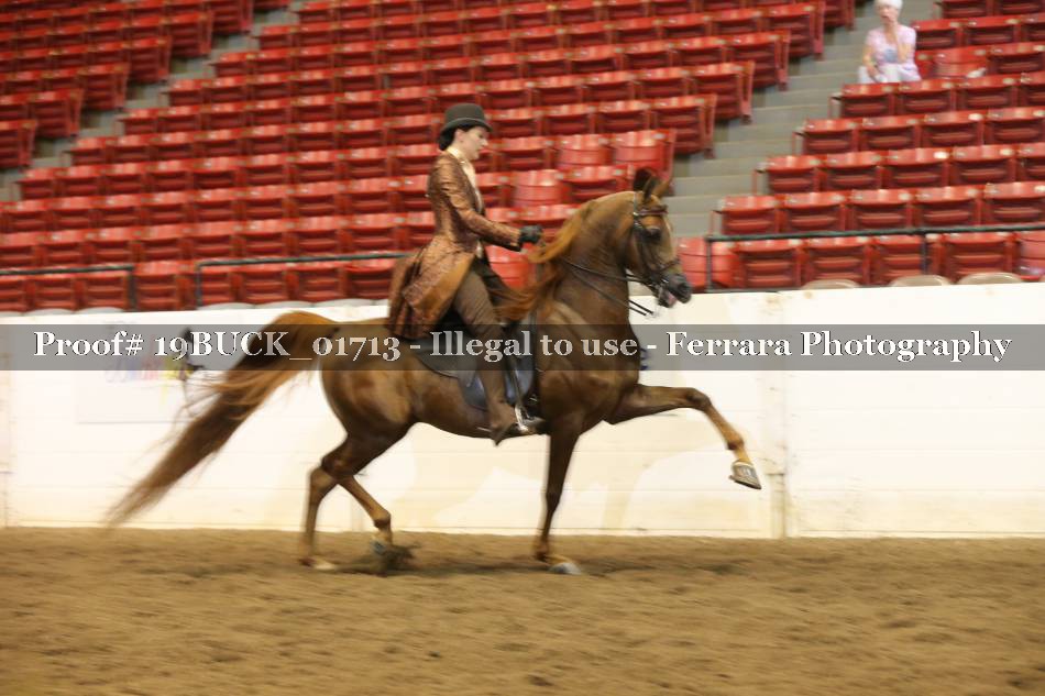 Proof 19BUCK_01713