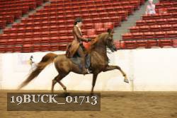 19BUCK_01713 proof