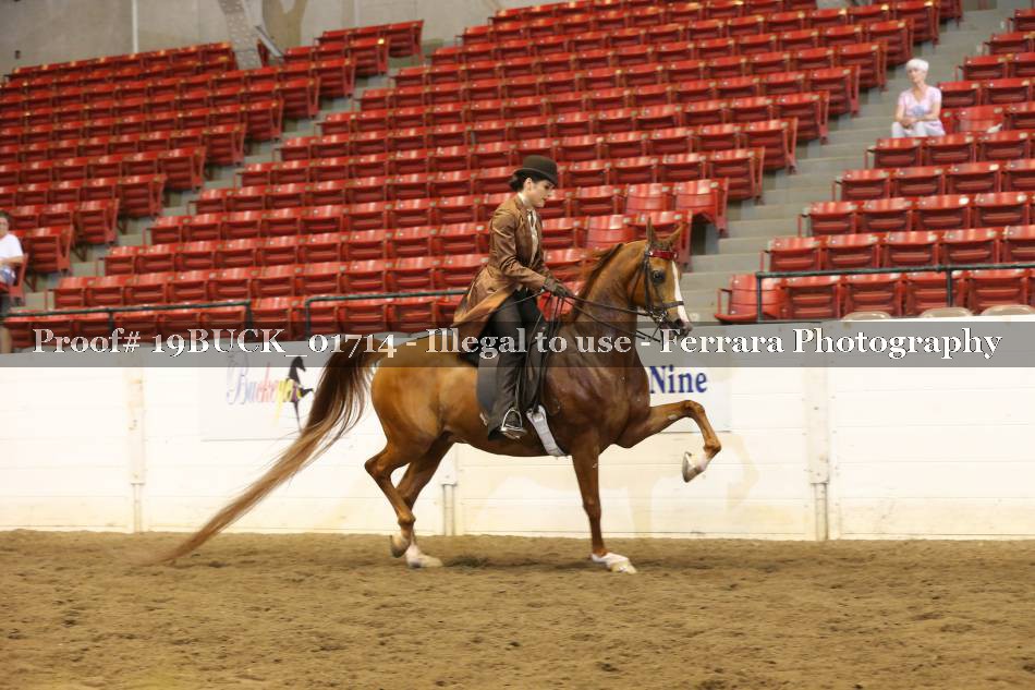 Proof 19BUCK_01714