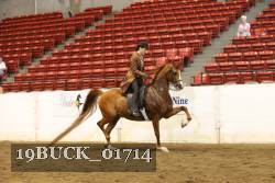 19BUCK_01714 proof