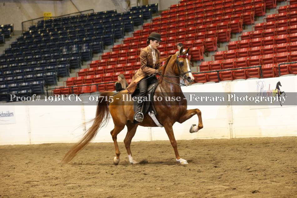 Proof 19BUCK_01715