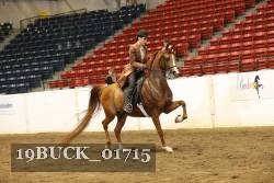 19BUCK_01715 proof