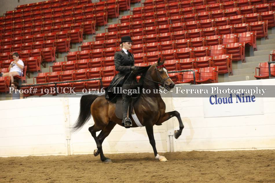 Proof 19BUCK_01716
