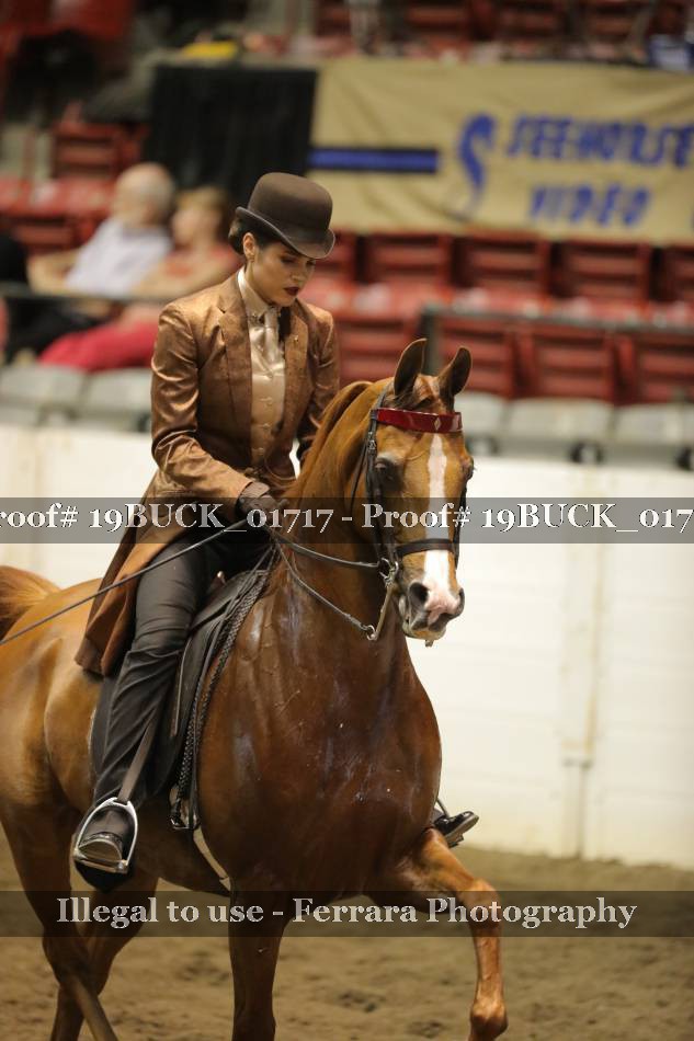 Proof 19BUCK_01717