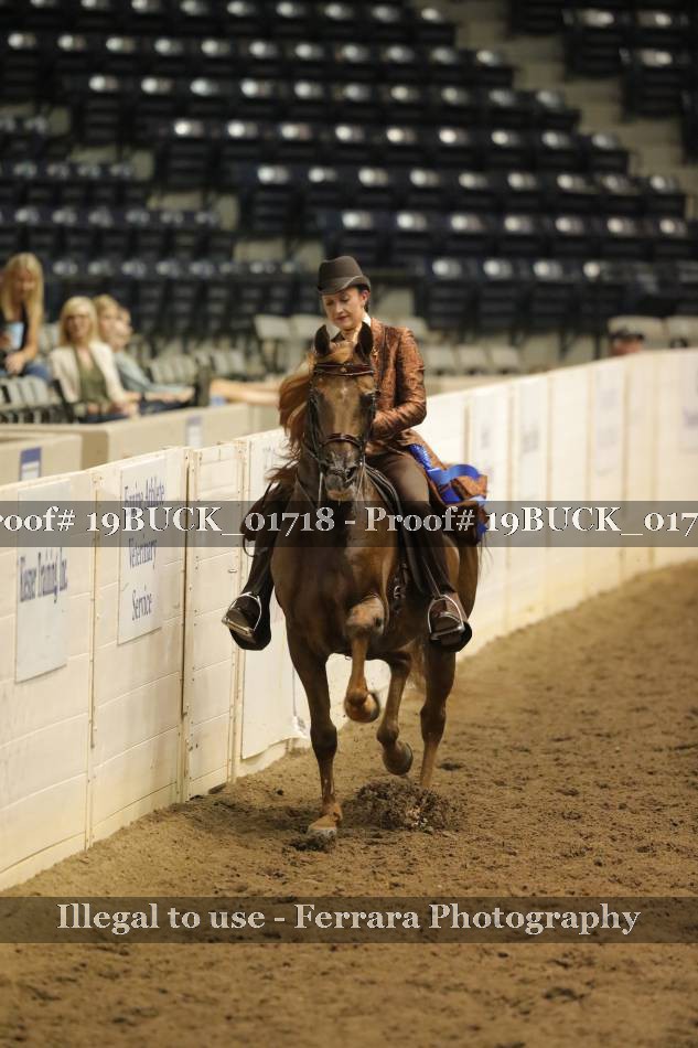 Proof 19BUCK_01718