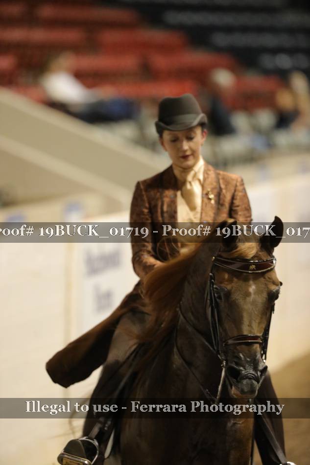 Proof 19BUCK_01719