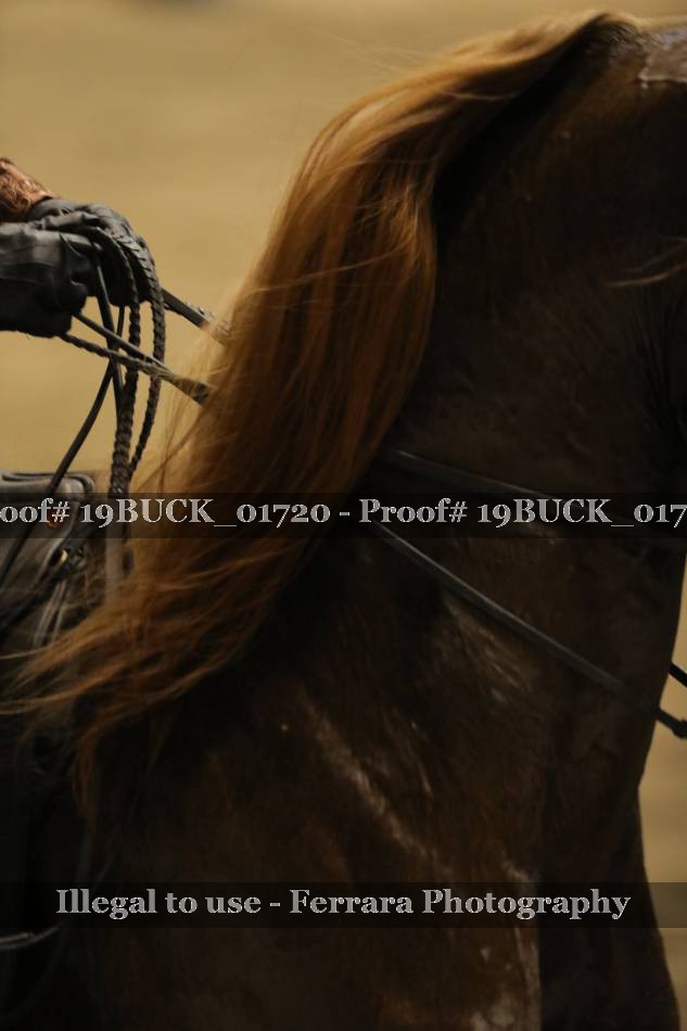 Proof 19BUCK_01720