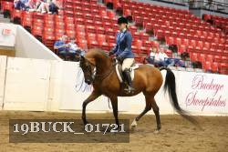 19BUCK_01721 proof