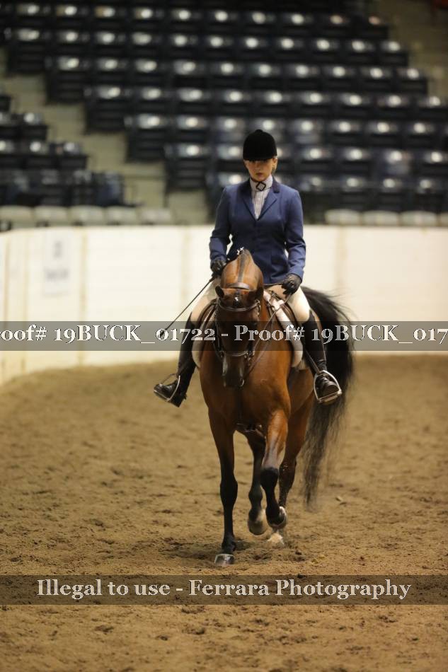 Proof 19BUCK_01722