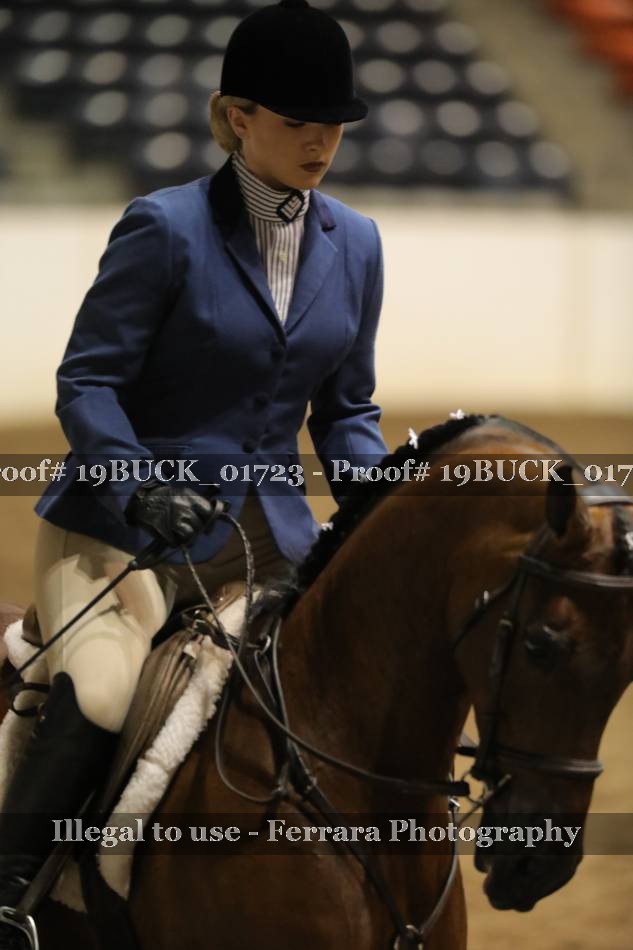 Proof 19BUCK_01723